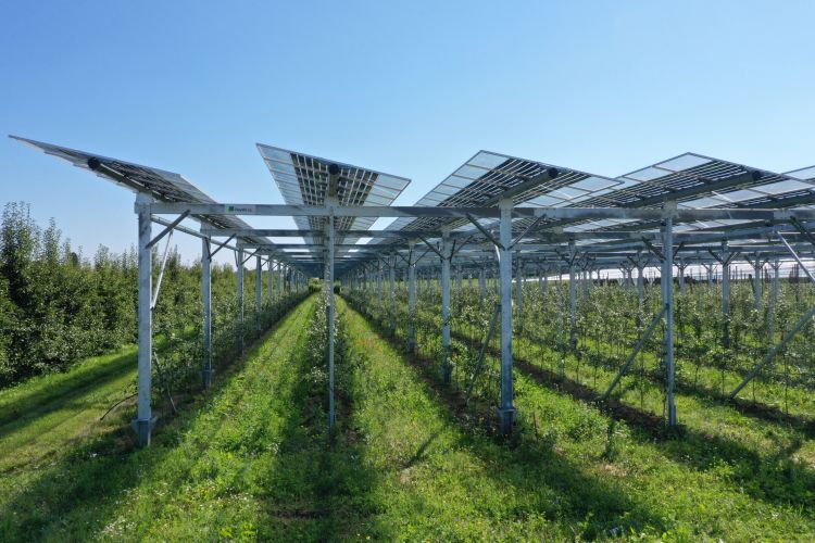 Agri-voltaico e fotovoltaico, Meritocrazia Italia: differenze impiantistiche e impatto paesaggistico