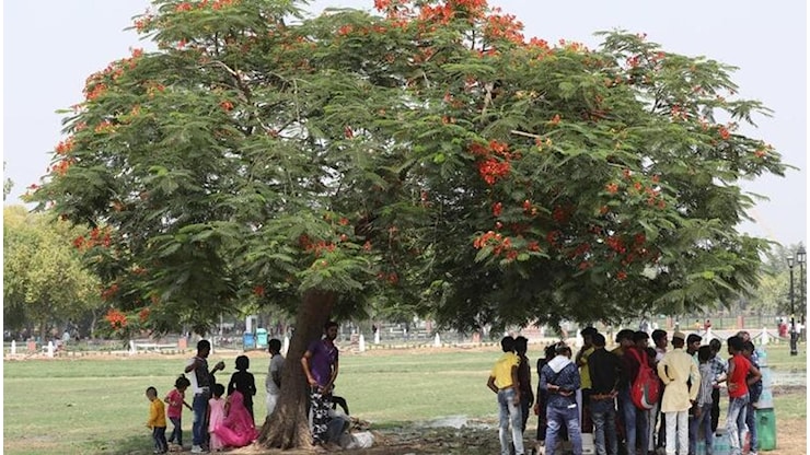 El Niño 2026 sfida il monsone: in India milioni di persone con il fiato sospeso - la Repubblica