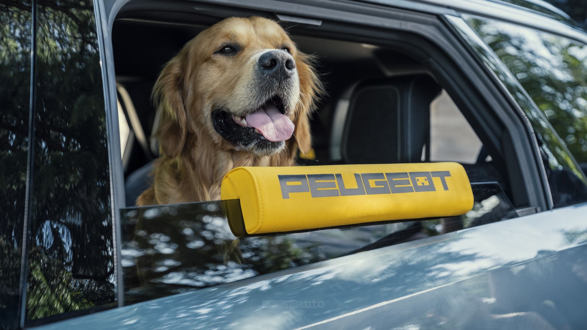 Accessori per cani in auto: arriva la Dog Edition Concept con la Peugeot E-5008