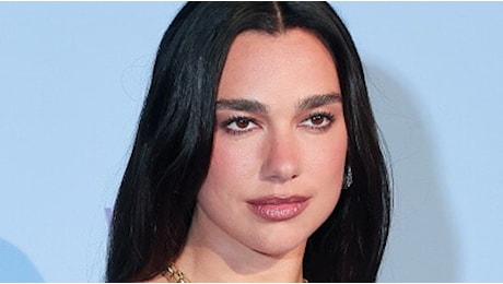 Dua Lipa sostiene larivoluzione dei fenicotteri" contro il mega-resort del genero di Trump in Albania