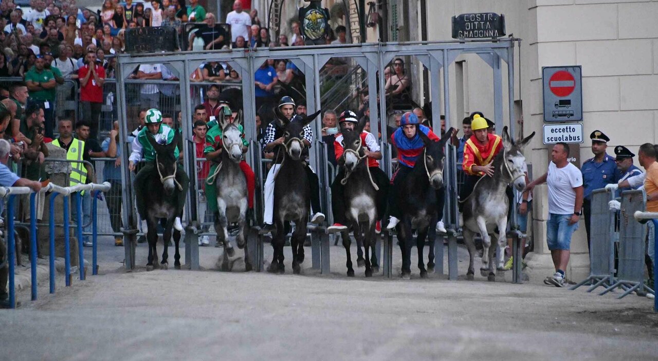 Palio di Siena, oggi la corsa dopo il rinvio: dove vederlo in tv e streaming, orario, le contrade in gara e i fantini
