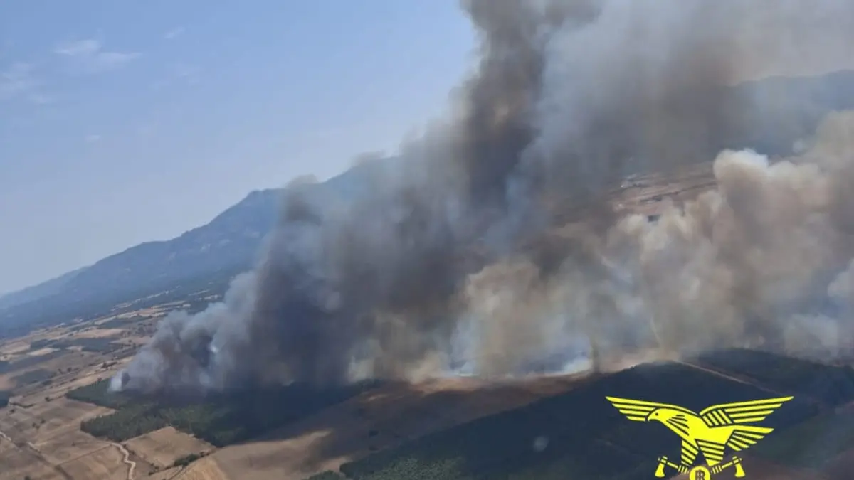 Incendi senza tregua in Sardegna: fiamme a Escalaplano, Cabras, Uras e San Gavino