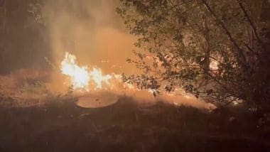 Francia, incendi fuori controllo nel sud del Paese dopo l'ondata di caldo. Le immagini