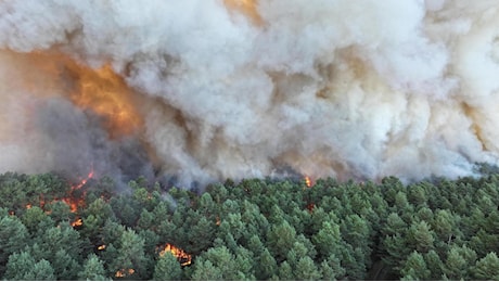 Maxi incendio nella foresta di Fontainebleau, in fiamme 800 ettari: “È una novità assoluta”