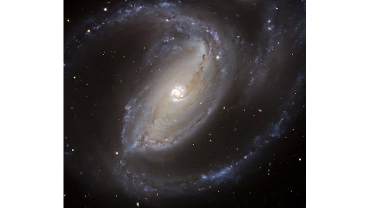 Astronomia: Webb osserva i primi cantieri delle galassie - MeteoWeb