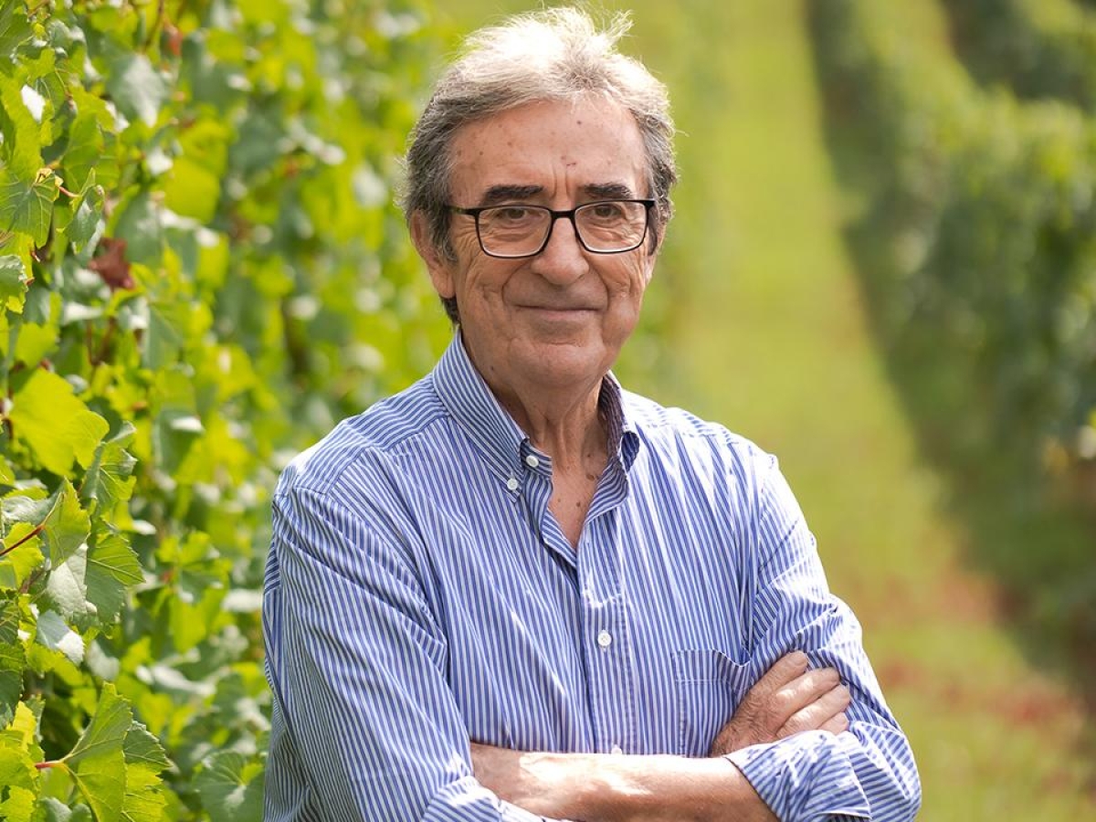 Riccardo Cotarella, presidente Assoenologi: «Il vino costa troppo, abbassiamo i prezzi. Torni a essere un prodotto del popolo»