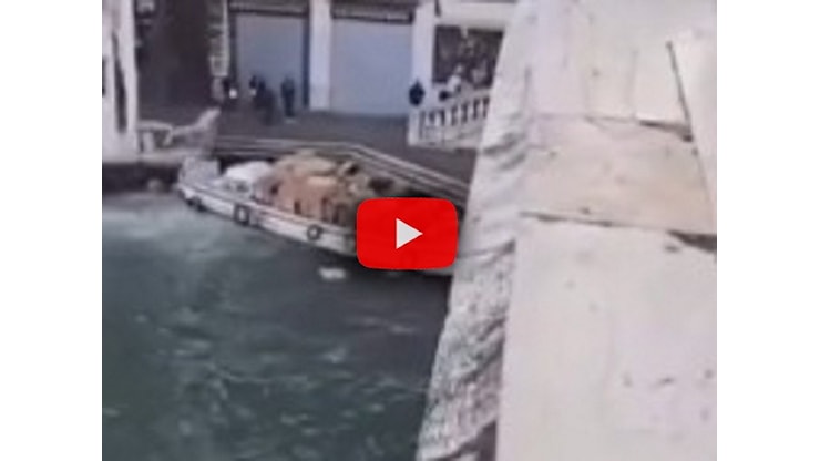 Venezia, ruba una barca ma si schianta contro il Ponte di Rialto; il Video Sky - iLMeteo.it