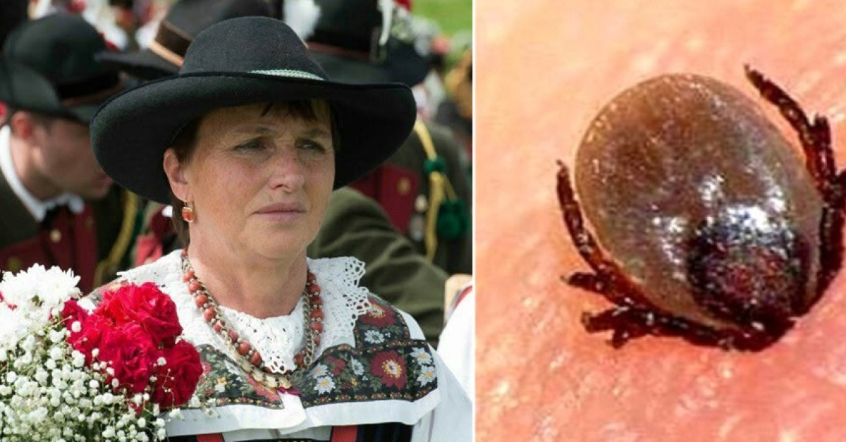 Morta dopo un morso di zecca, Gianna Sommavilla aveva 76 anni. Dai primi malesseri all'encefalite, Zuccali: Da inizio anno in Trentino 7 casi di infezioni da Tbe
