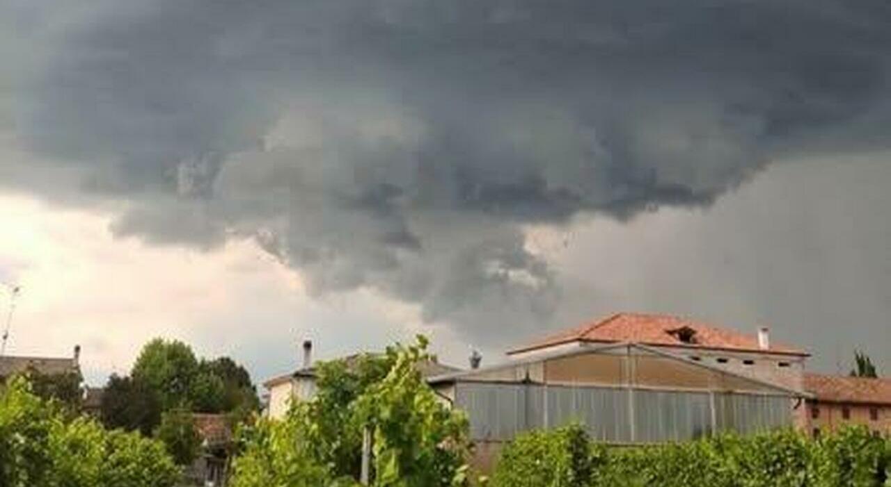 Vento e grandine su campi e vigneti nell'opitergino mottense: «Colpite le coltivazioni di Prosecco»
