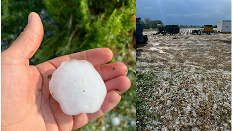 Forte grandinata nella Bassa Pianura Piacentina, Confagri Piacenza: non c’è pace per i campi - Dal Territorio