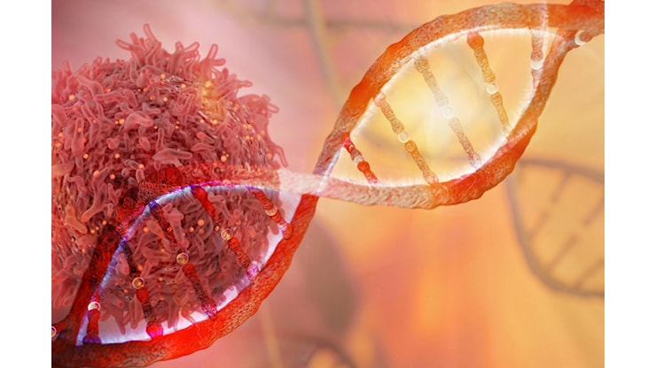 Shock genetico: donatore di sperma con mutazione tumorale usato per 200 concepimenti - panorama.it