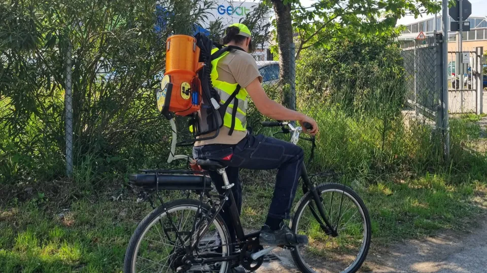 Riccione intensifica la prevenzione contro la zanzara West Nile