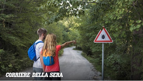 Morsa da una zecca, muore dopo un mese: l’encefalite è stata fatale in Trentino