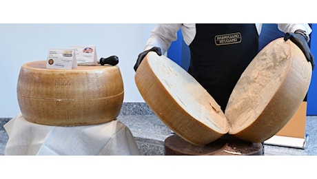 Made in Italy inarrestabile: boom del Parmigiano negli Usa e clamoroso dietrofront sulle etichette choc dell'Irlanda sul vino