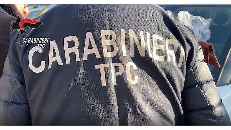 Scavi clandestini e ricettazione beni archeologici, 56 misure cautelari - La Provincia di Cremona