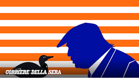 Midterm Usa, Trump non esclude l'Insurrection Act e promette 5mila dollari a testa