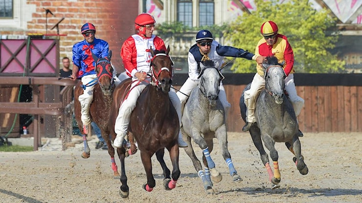 Trionfa la Contrada Sant’Erasmo. Dopo la Provaccia, la finale è sua - Il Giorno