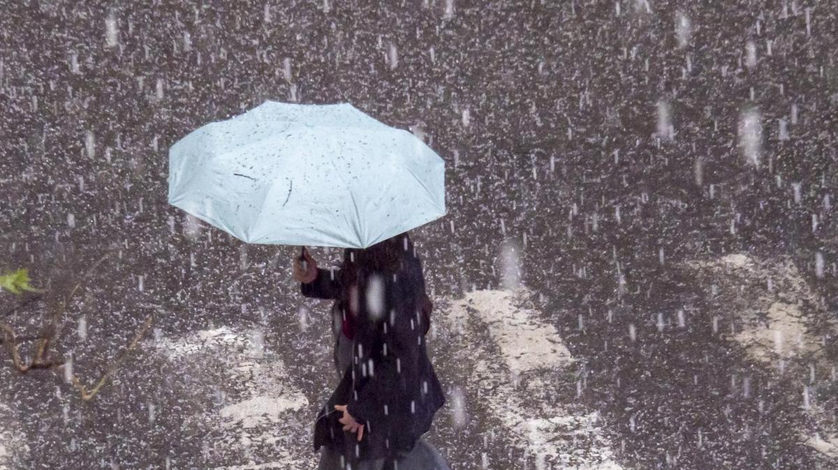 Vento, pioggia e grandine si abbattono sul Pavese. Un albero cade sull’A7 Milano-Genova
