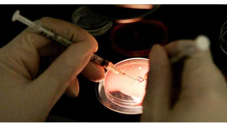 Media, 200 bebè nati in Europa da un donatore di sperma a rischio cancro - www.altoadige.it