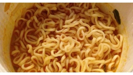 Epidemia di salmonella in Europa: 106 casi e 49 ricoveri da noodles al pollo
