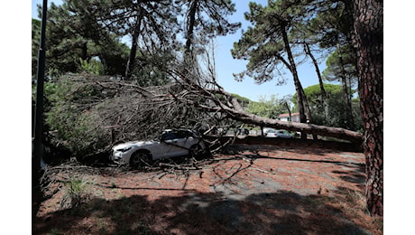 Violento temporale e forte vento: strade allagate e alberi abbattuti a Marina Romea – FOTO