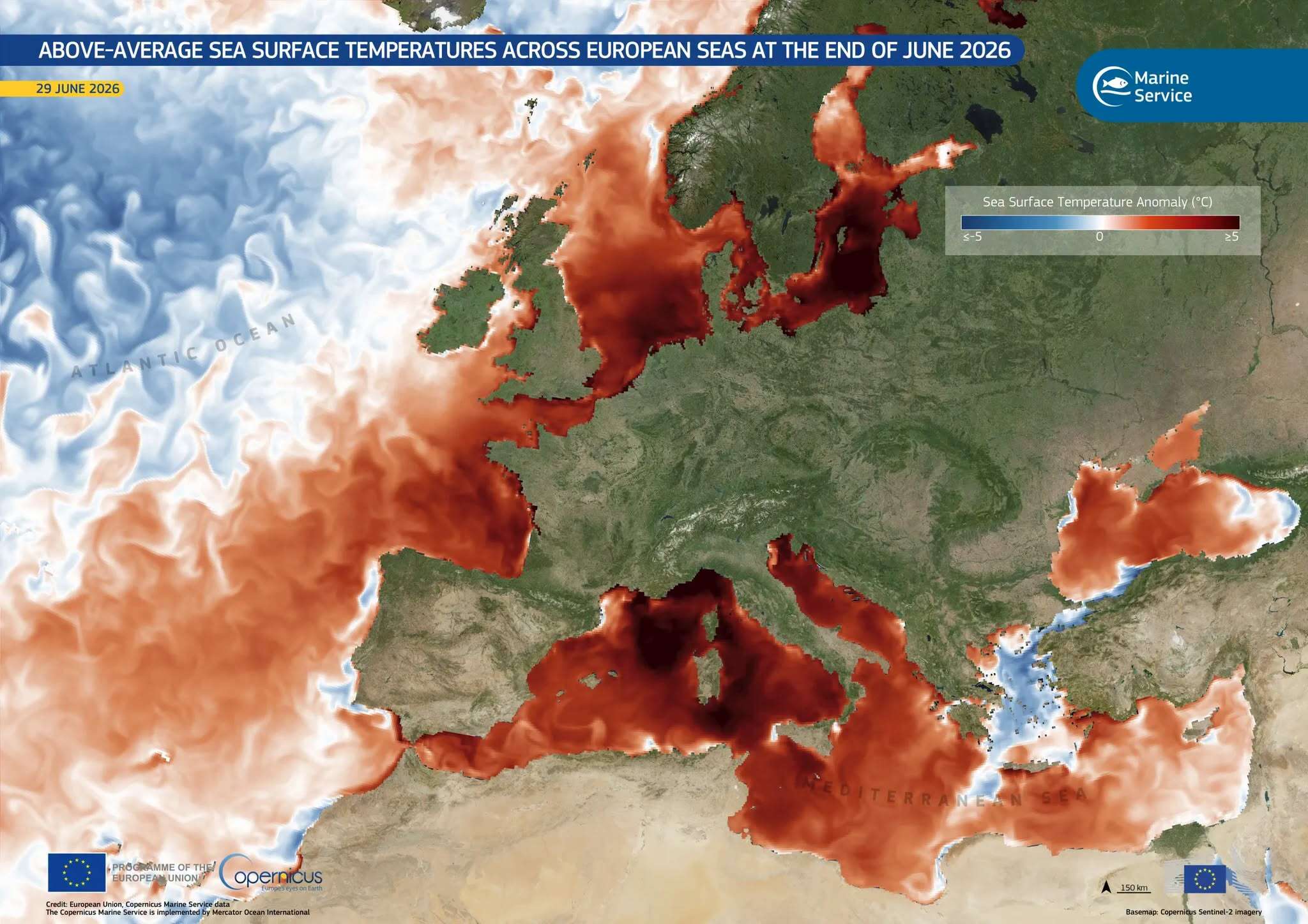 Ondata di calore anche sott’acqua, il Mediterraneo è 6°C più caldo della media