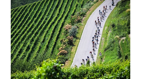 Tour de France 2026, la Visma si prende la crono e Vingegaard veste il giallo: primi verdetti dalla Giuria