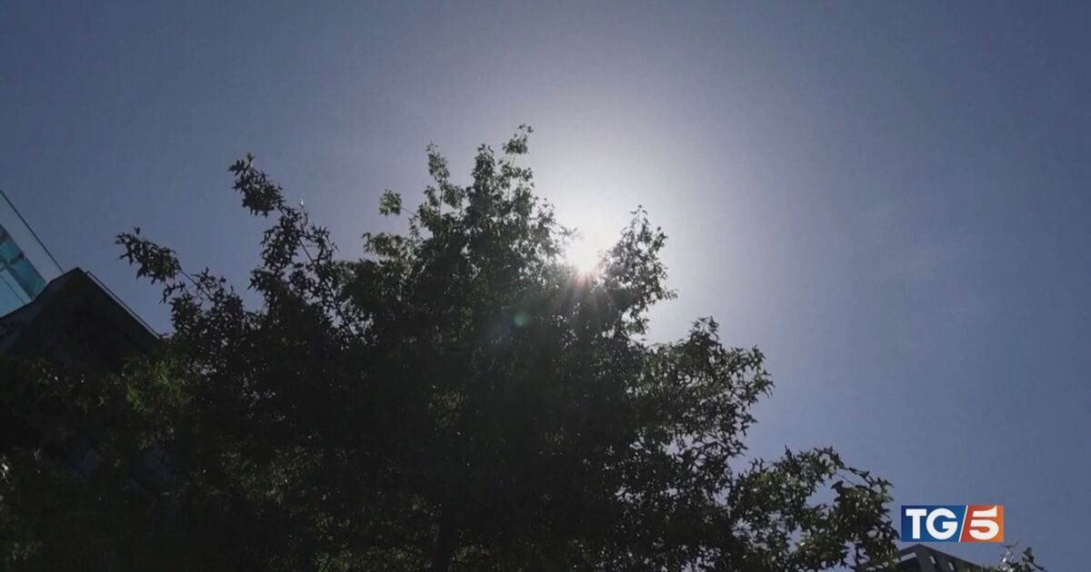 TG5: Afa, tempeste e caldo record Video
