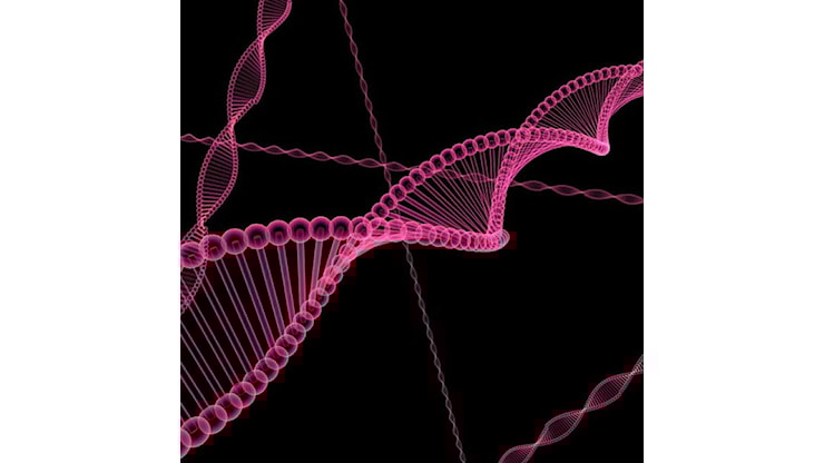 Lo sperma di un donatore con un gene cancerogeno è stato usato per concepire quasi 200 bambini. Alcuni sono già morti - Agenzia Dire