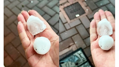 Violenta grandinata tra Luzzara, Reggiolo e Rolo, caduti chicchi grandi come palline da golf