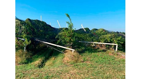 Maltempo, nell’Imolese danni ingenti in agricoltura. A Forlì-Cesena 36 interventi dei vigili del fuoco