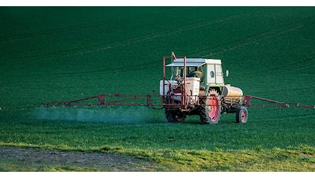 Glifosato e Roundup, la Corte Suprema Usa protegge Bayer dalle cause legali