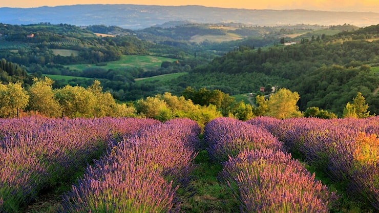 Le sagre gastronomiche raccontano già l’estate - Tgcom24