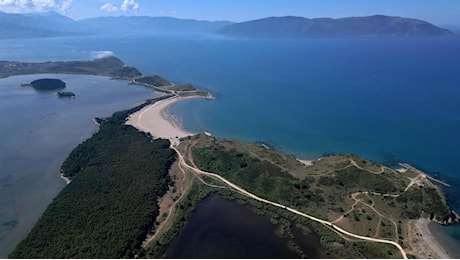 Protesta dei fenicotteri in Albania contro il resort legato a Trump