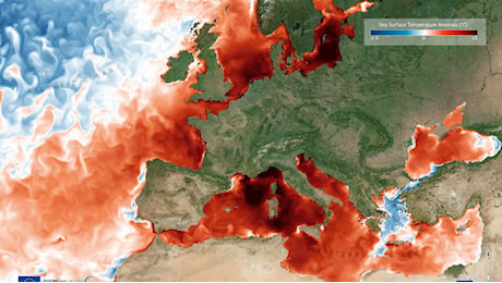 Il Mediterraneo bolle: 6 gradi sopra la media, allarme per gli ecosistemi marini