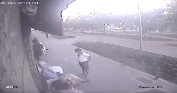 L'aggressore di Milano non risponde al gip, il legale 'non ricorda nulla'