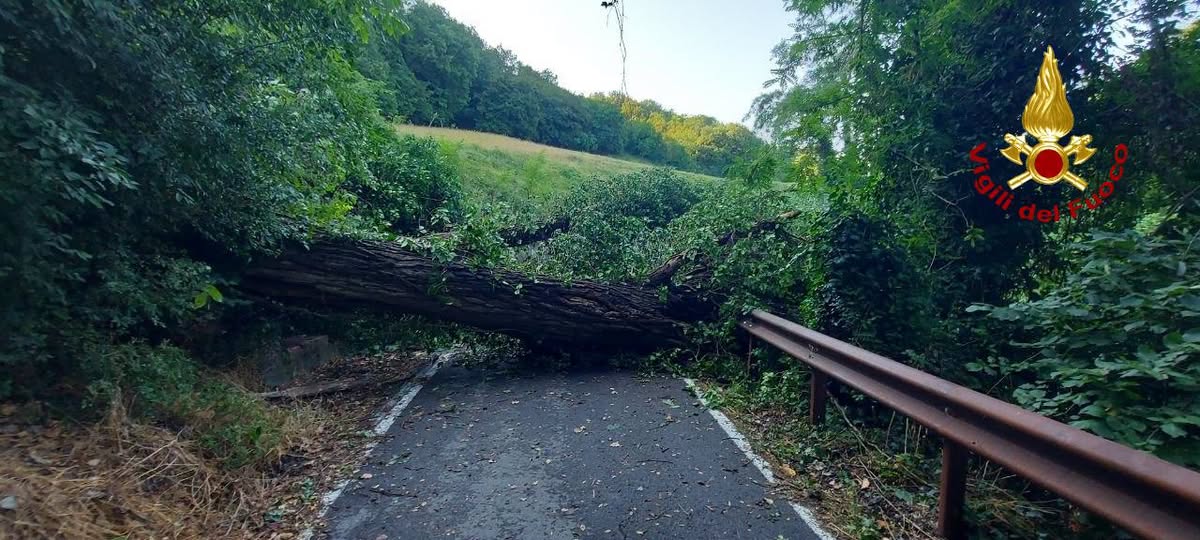 Maltempo Emilia Romagna, nubifragio a Bologna nella notte: isolate un centinaio di persone | FOTO