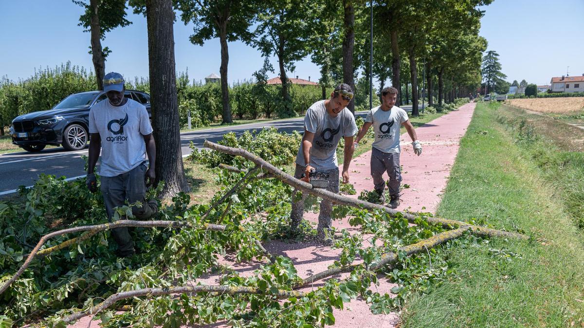Maltempo, il bilancio. Danni a frutteti e vigne. Sos del mondo agricolo : Così non si va avanti