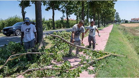 Maltempo, il bilancio. Danni a frutteti e vigne. Sos del mondo agricolo : Così non si va avanti
