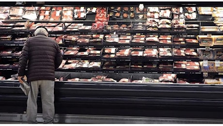 Listeria, richiamati 59 lotti di vitello tonnato, tacchino e lonza venduti anche da Eurospin